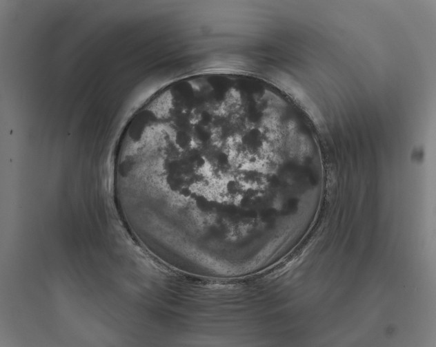 X0000093751419200711061037