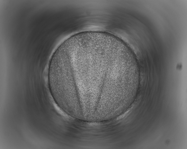 X0000093751421200711061037