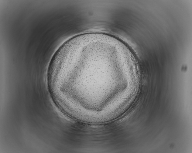 X0000093751423200711061038