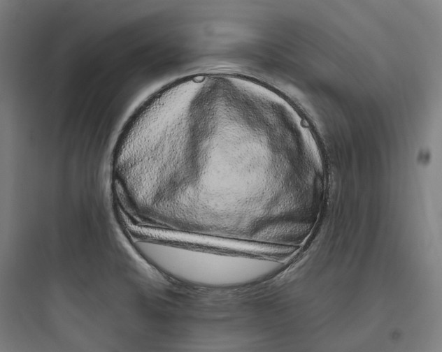 X0000093751424200711061038