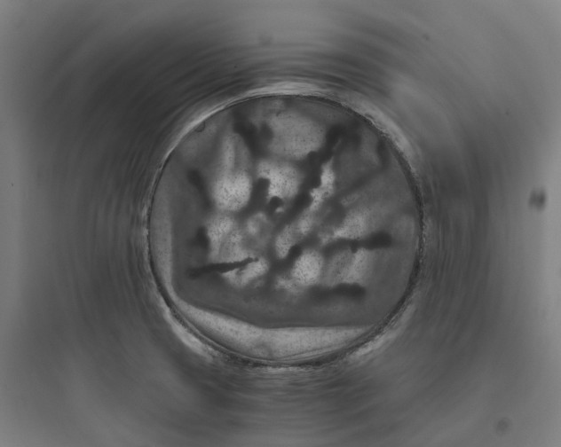 X0000093751425200711061038