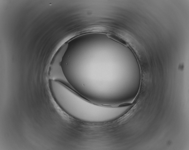 X0000093751426200711061038
