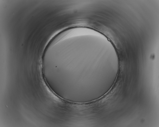 X0000093751428200711061038