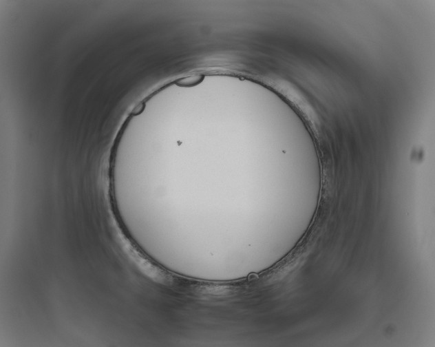 X0000093751431200711061038