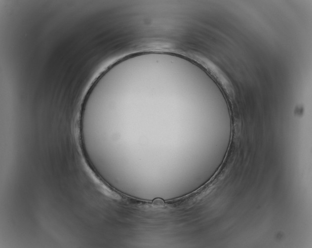 X0000093751432200711061038