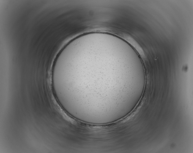 X0000093751436200711061038