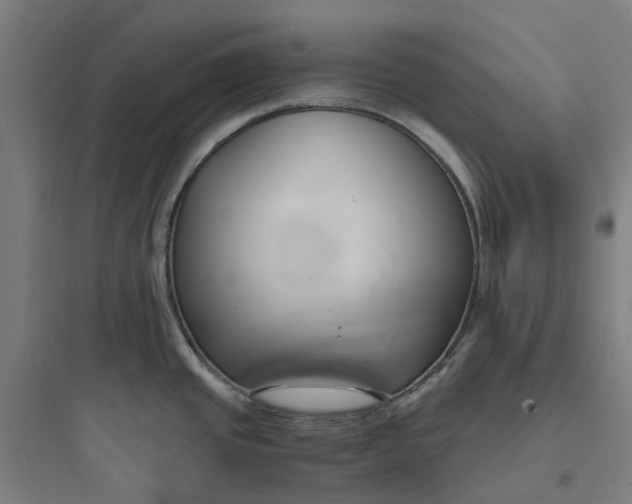 X0000093751437200711061038