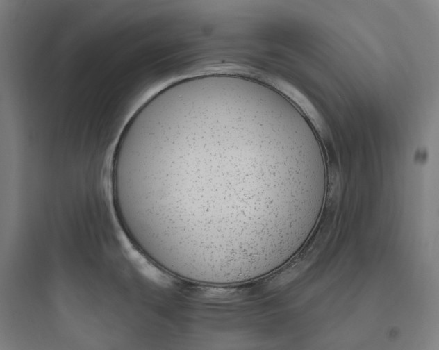 X0000093751439200711061038