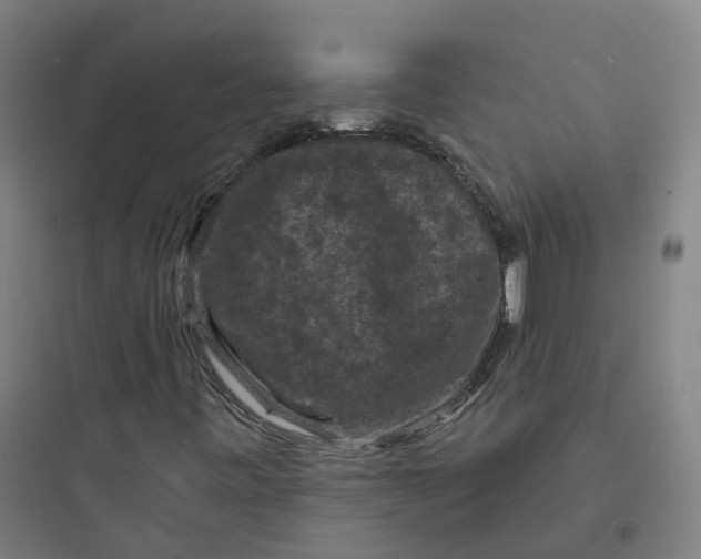 X0000093751443200711061037