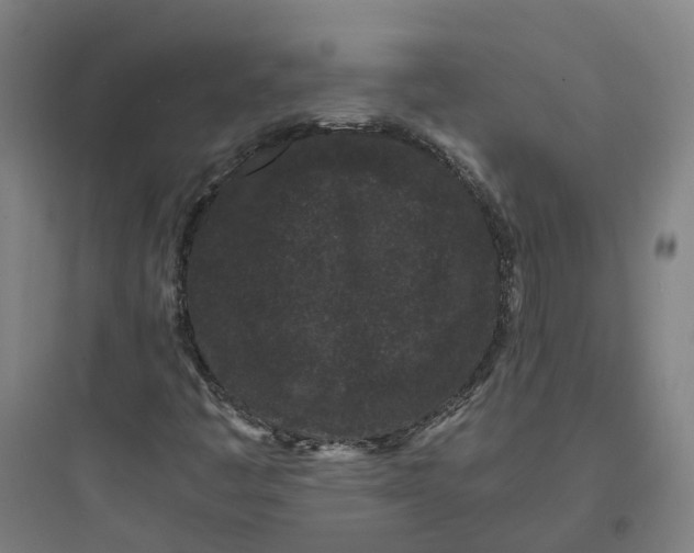 X0000093751445200711061037