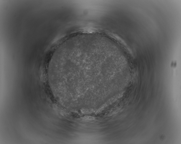 X0000093751446200711061037