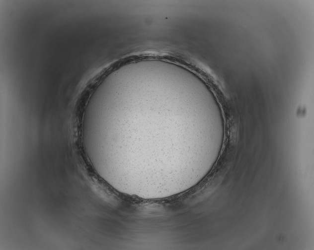 X0000093751448200711061037
