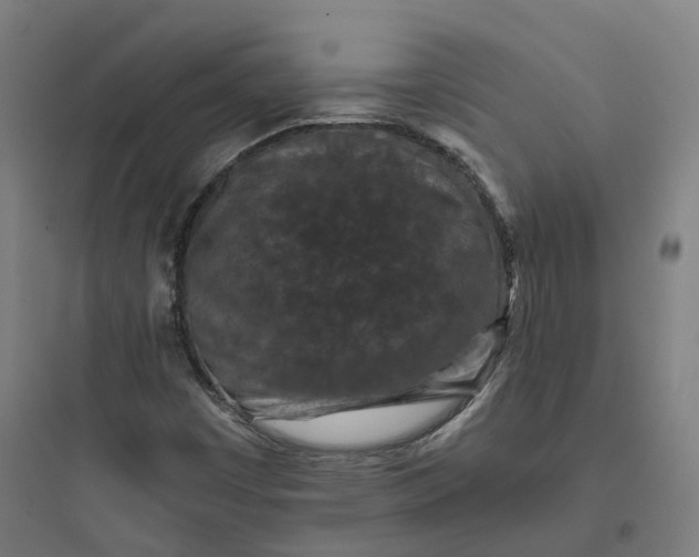X0000093751449200711061037