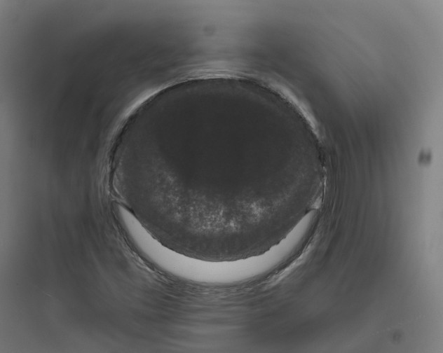 X0000093751453200711061037