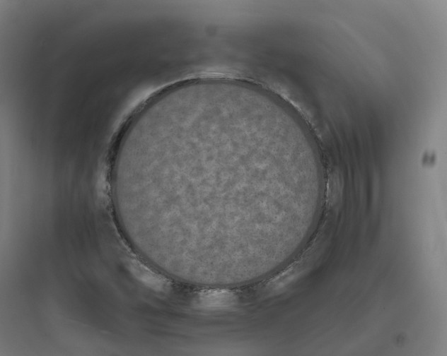 X0000093751454200711061037