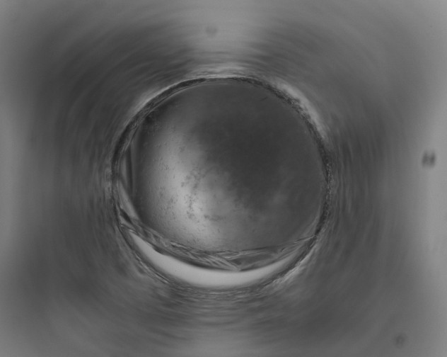 X0000093751457200711061037