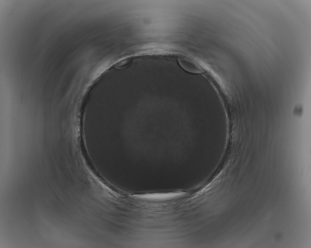 X0000093751459200711061037