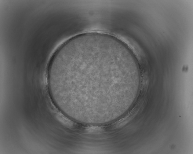 X0000093751462200711061037