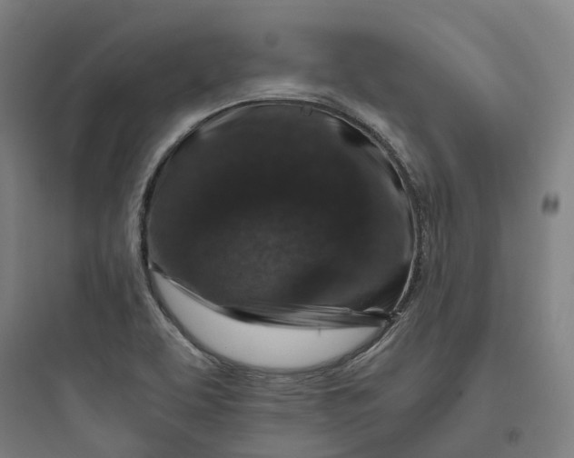 X0000093751463200711061037