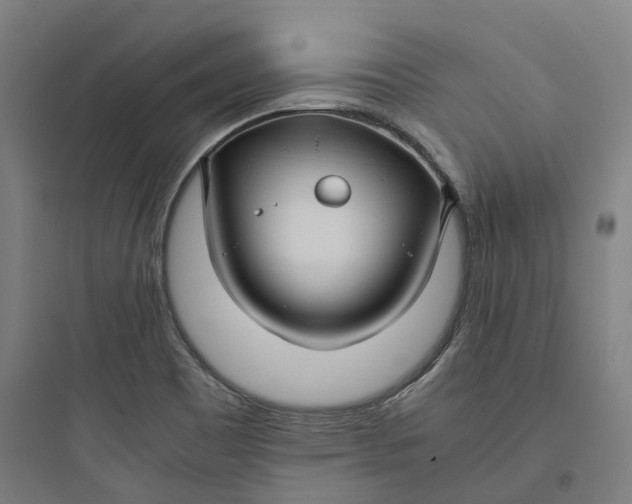 X0000093751465200711061037