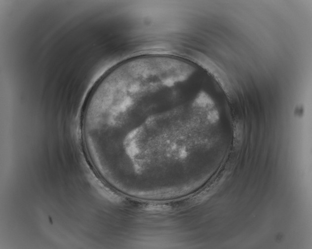 X0000093751466200711061037
