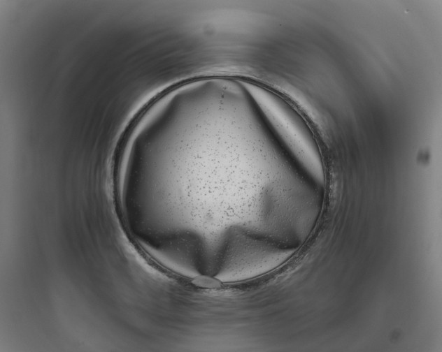 X0000093751468200711061037