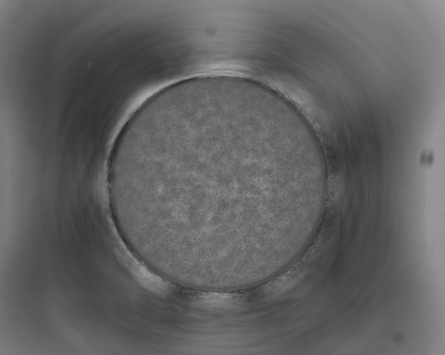 X0000093751470200711061037
