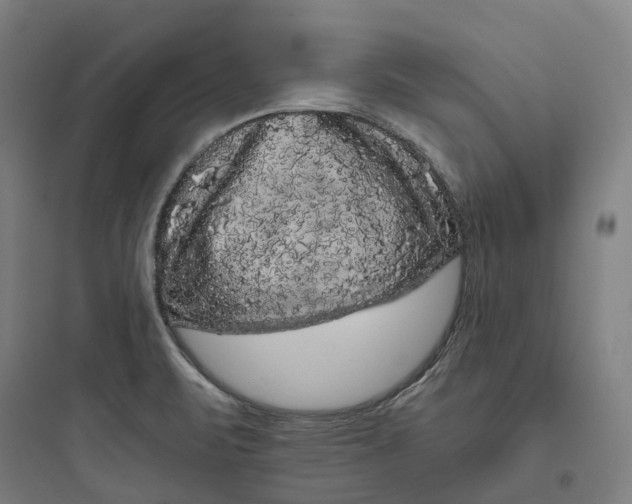 X0000093751471200711061036