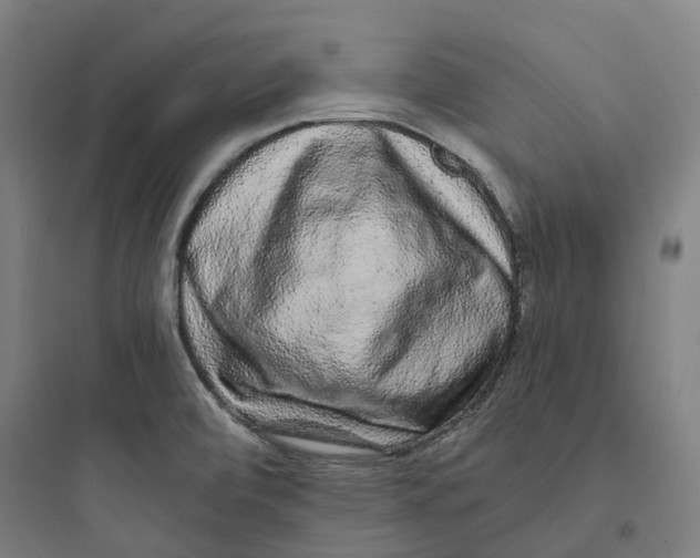 X0000093751472200711061036