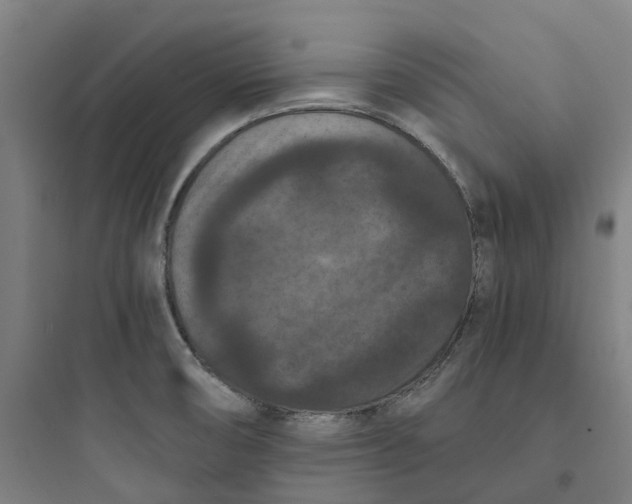 X0000093751474200711061036