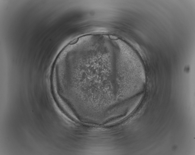 X0000093751475200711061036