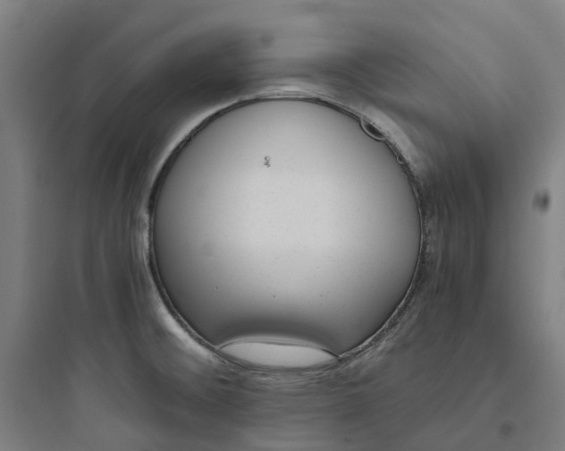X0000093751476200711061036