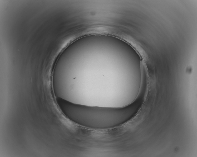 X0000093751477200711061036