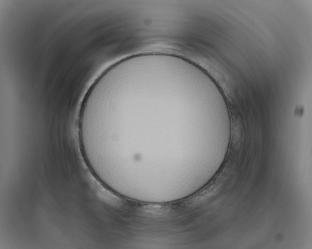X0000093751478200711061036