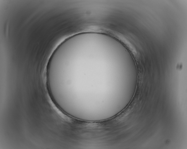 X0000093751479200711061036