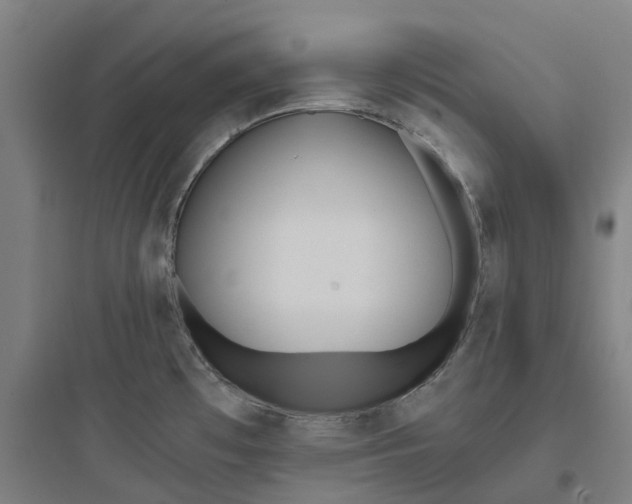 X0000093751481200711061036
