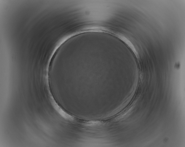 X0000093751482200711061036