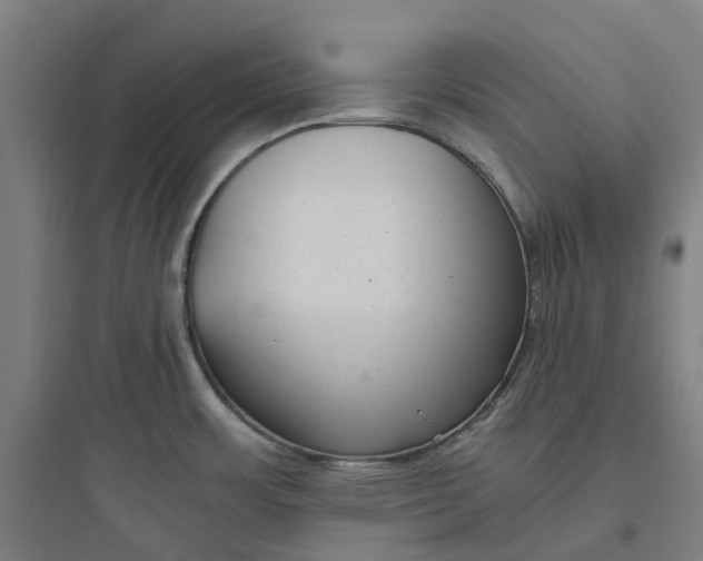 X0000093751483200711061036