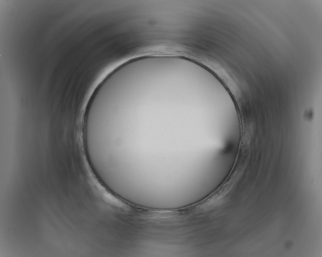 X0000093751486200711061036
