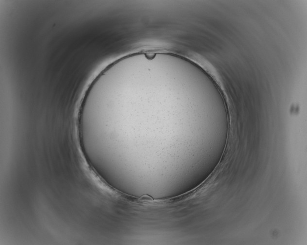 X0000093751488200711061036