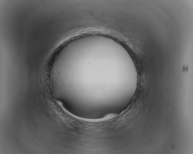 X0000093751496200711061036