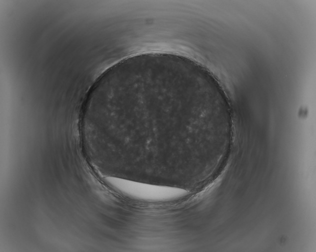 X0000093751497200711061036