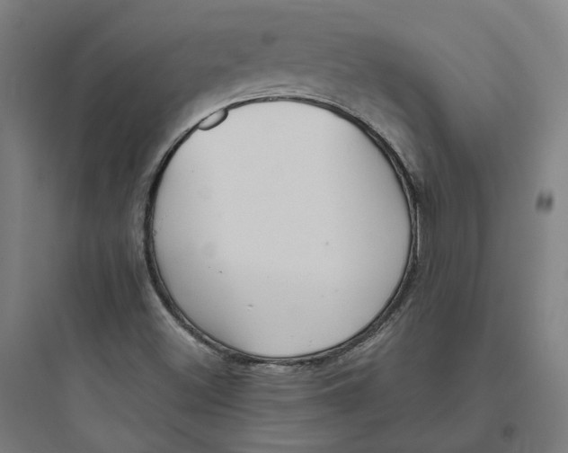 X0000093751500200711061036