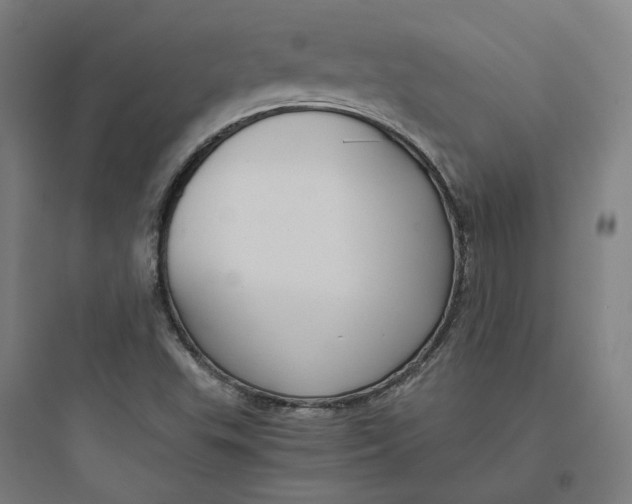 X0000093751503200711061036