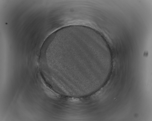 X0000093751505200711061036