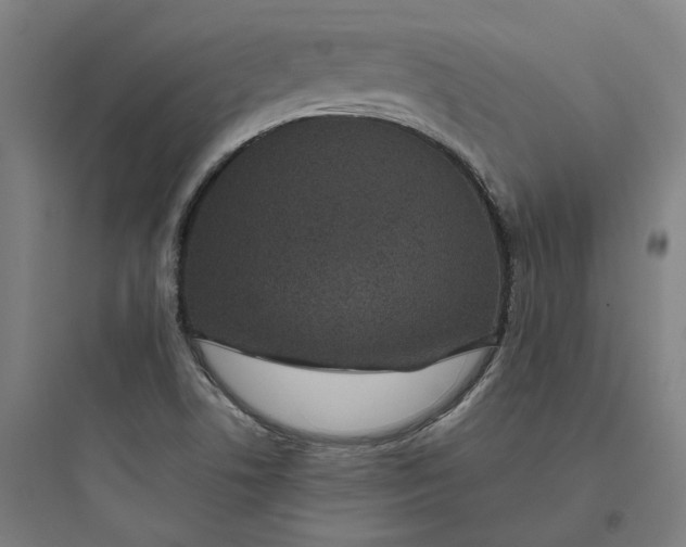 X0000093751506200711061036