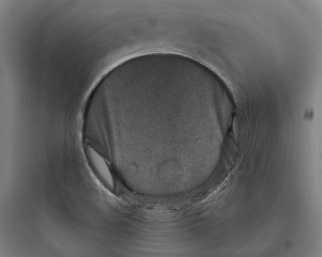 X0000093751508200711061036