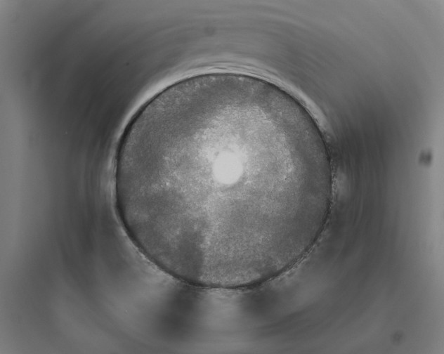 X0000093751514200711061036