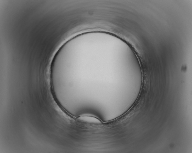 X0000093751516200711061036