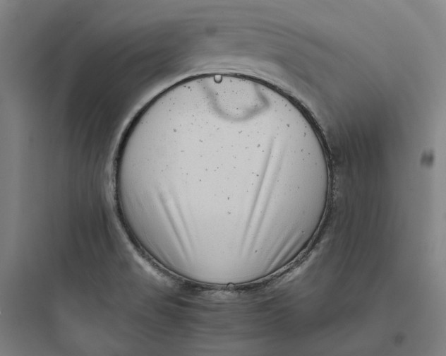X0000093751517200711061036